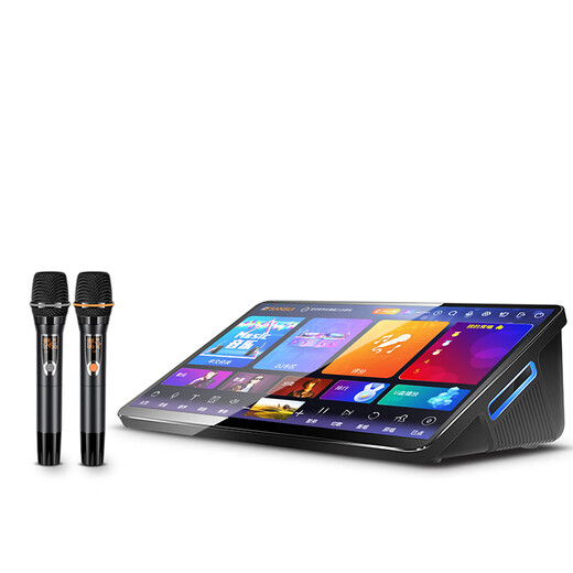 SANSUI D1 all-in-one karaoke machine with microphone karaoke singing machine smart home karaoke speaker touch screen karaoke station home ktv audio set jukebox