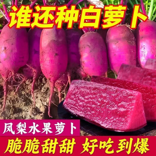 This year's new variety of pineapple fruit radish seeds can be sown raw in the summer. Purple beauty radish and rouge radish seeds can be sown in the summer. New products on the market. Original 4 packs (600 grains).