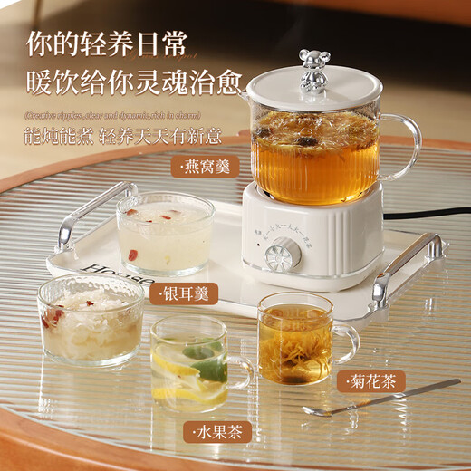 Health kettle, kettle, hot water kettle, thermostatic kettle, teapot, teapot, all-in-one, fully-glass, fully-automatic, small home, multi-functional office, large capacity, silver-plated 0.6L