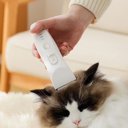 DSRAWMYT pet shaver, dog electric clipper, hair clipper, electric clipper, beauty styling pet cat shaver