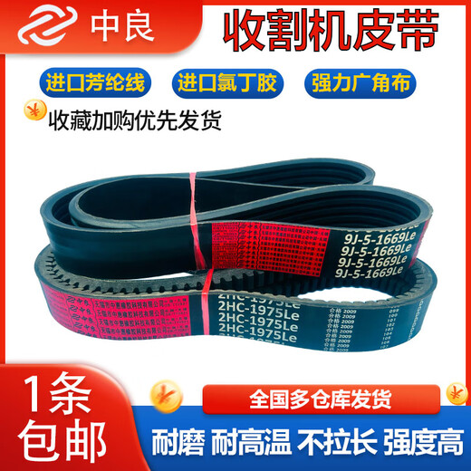 Zhongliang Triangle Belt 2735 2739 2740 2750 2775 2778 2805 Cinturón de cos que 3HB Gold-2694le_zhongliang Gold Band