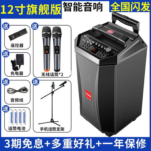 Wanlida audio outdoor home singing square dance bluetooth high power outdoor karaoke dancing high volume speaker home 9028B wireless U segment microphone pull rod audio Shenwu ll generation 12 inch-U segment microphone 2 + bracket