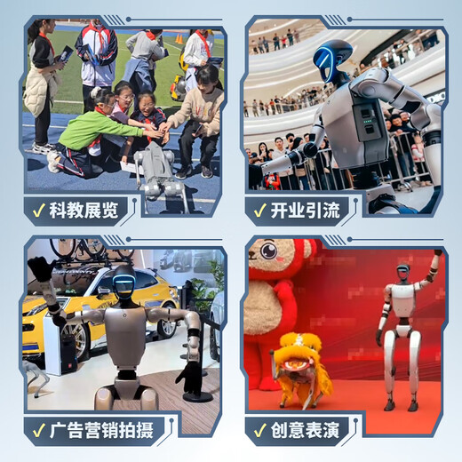 宇树宇树机器人春晚智能ai机器人机械狗机器狗G1 GO2 商用跳舞表演迎宾拍摄租赁 人形机器人