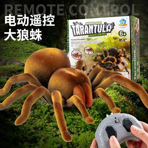 Genius Beibei (tianibebei) Grande télécommande araignée luxueuse réelle modèle pour enfants Pénérale électronique Prank effrayant jouet électrique Gift Crawling Gift Induction Spider-Brown 9902B + Tournevis Norme officielle Standard