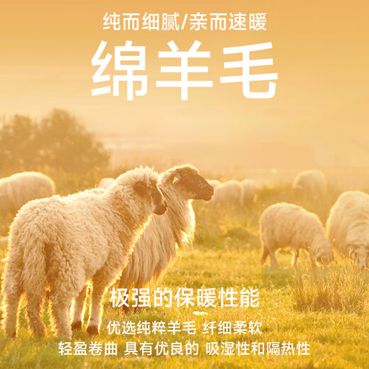 Shanshan sheep wool woolen lapel jacket men's autumn and winter short daddy workwear woolen coat coat