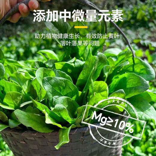 Quick Green 120 Foliar Fertilizer Chlorophyll Genuine Thick Leaf Vegetables Flowers Fruits and Vegetables Universal Water-Soluble Fertilizer Factory Direct Sales Powerful Quick Green 120 50g*50 Bags Affordable