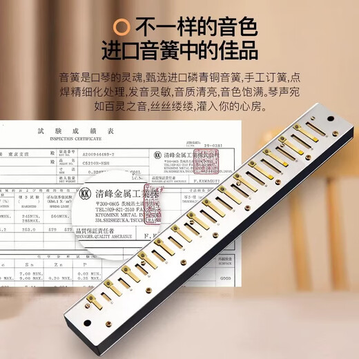 天鹅德国进口音簧珍藏版复音口琴28孔高端送礼入门专业演奏级 【高端款】28孔复音A调+伴奏U盘