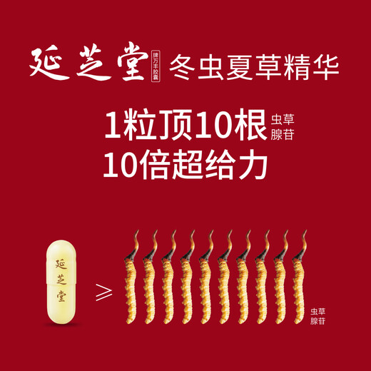 延芝堂冬虫夏草精华胶囊增强免疫力滋补菌丝体滋补保健礼盒特别礼赠套装 （0.4g*18粒/瓶*2瓶）特别礼赠装套装