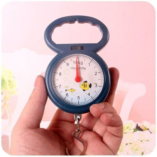 Electronic scale portable high-precision household weighing 150 Jin Jin is equal to 0.5 kg Mini spring scale high standard electronic scale accurate can weigh 50 Jin Jin is equal to 0.5 kg + battery