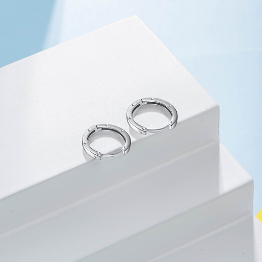 Trendy Acer Minimalist Platinum Earrings Women's Earrings for Girlfriend's Birthday Gift Priced at RMB 100 per piece Single Model Approximately 0.95g