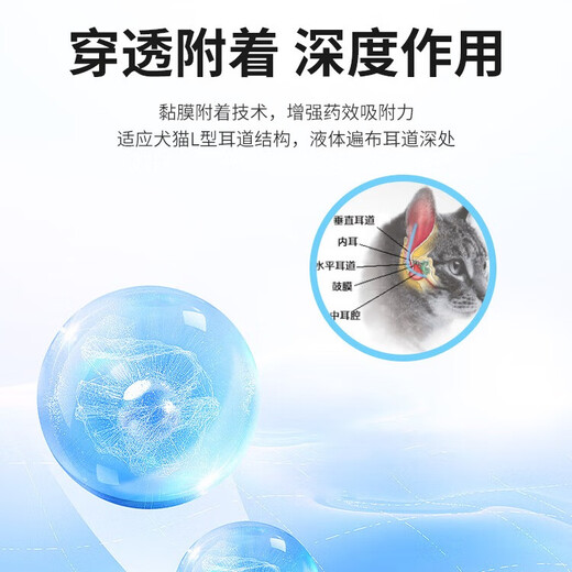 BethBeijing Florfenicol Metronidazole ear drops ear mite medicine ear cleaning liquid pet ear oil otitis externa ear cleaning liquid