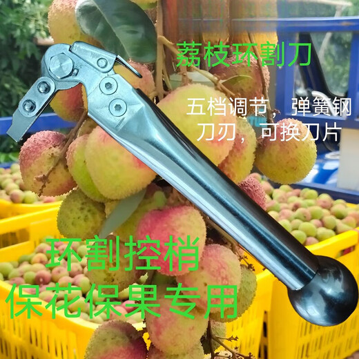 YWZR special knife for lychee girdling, lychee girdling knife, Liyou 23 girdling knives, lychee, longan, fruit tree girdling and apple tool, No. 0 knife, peeling opening 0.75 mm