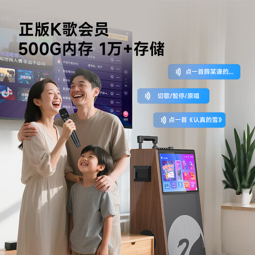 HiVi home KTV audio set outdoor square dance audio with display screen home TV karaoke special speaker karaoke machine microphone all-in-one machine MS129