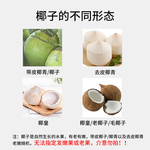 Guo Yishou Hainan Peeled Green Coconut, delivered to your home quickly, sweet and fresh coconut for pregnant women, fruit replenishing amniotic fluid, tender green coconut, coconut with skin, single fruit 3-5 Jin Jin is equal to 0.5 kg, about 2 pieces, free coconut opener + straw