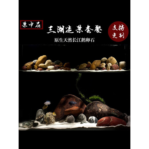 鹅卵石鱼缸造景套餐组合三湖草缸原生缸南美缸龟缸水族缸蓝海装饰 绿渐变 120-150缸造景(A3881)