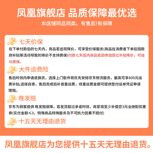 Phoenix Beetle Electric Tricycle Household Small Electric Motorcycle Adult Leisure Battery Car for Women 500W+48V12A Lead Acid + Range About 25 Kilometers