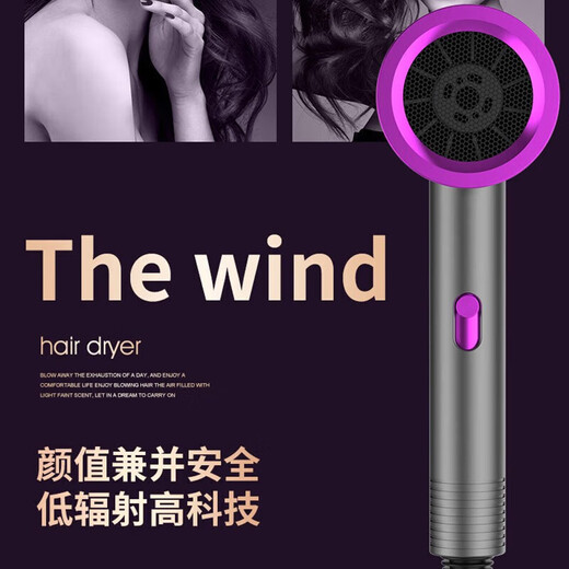 LNGA LANDGRE German quality hair dryer household high-quality silent negative ion high power does not hurt hair student dormitory portable hair dryer home appliance gift electric dryer gray 800w student dormitory recommended gift box