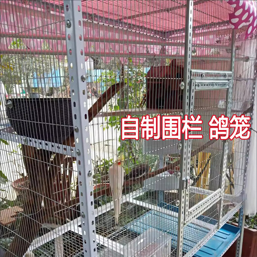 Zhongsenweit galvanized long-hole pigeon cage wire mesh fence for breeding chickens, pigeons and rabbits, homemade birdcage window sealing protective grid 30cm high - 1.1X10cm hole - wire 1.8 thick 1 meter long