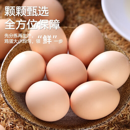 Jingxijia base direct delivery fresh eggs cereal eggs large eggs 50g fresh supermarket breakfast soft-boiled eggs express eggs 50g-20 pieces Jingxijia base direct delivery fresh eggs cereal eggs large eggs 50g fresh supermarket breakfast soft-boiled eggs express eggs 50g-20 pieces