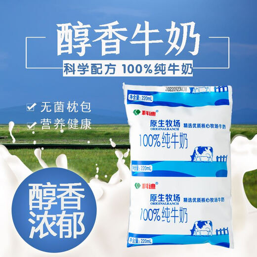 Cody Native Ranch 100% Pure Milk Sterile Pillow Pack for Children, Students and Adults Full Cream Fresh Milk Cody Pure Milk Pillow Pack 220ml*16 Bags Cody Pure Milk Pillow Pack