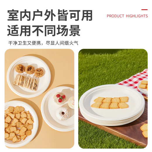 Fresh Life Disposable Dinner Plate Food Grade Medium Deep Dish Dinner Plate Camping Tableware Sugar Cane Pulp Biodegradable Large Paper Plate 20 pcs