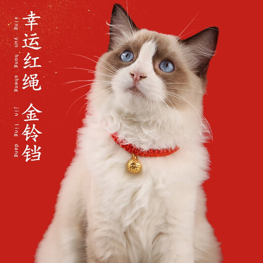 Big Cat Diary Cat Collar Collar Decoration Pet Necklace Collar Kitten New Year Red Rope Bell Collar Dog Collar Red Rope Collar Gold Bell With Sound