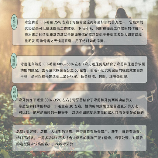 Professional pet grooming fluffy scissors, curved fish bone scissors, curved tooth scissors, curved left-hand tooth scissors 440C natural scissors, curved fluffy scissors (natural scissors) 7-inch ordinary tail nail style