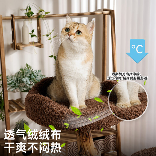 Beast brand tree house cat climbing frame large cat tree cat nest integrated solid wood cat scratching post small apartment cat shelf luxury cat house warm winter tree house丨 toy set
