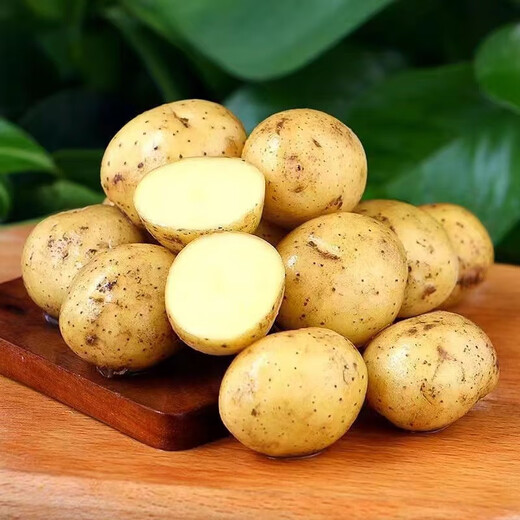 Jingxiansheng Shandong fresh small potatoes net weight 3Jin Jin is equal to 0.5kg, single fruit is more than 100g, freshly dug yellow heart potatoes and vegetables are sent directly from the source