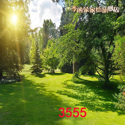 萝大搬（LUODABAN）主播直播间室外夜间风景路灯农村小路风景布3d立体网红直播背景布 1.5米宽2米高 109