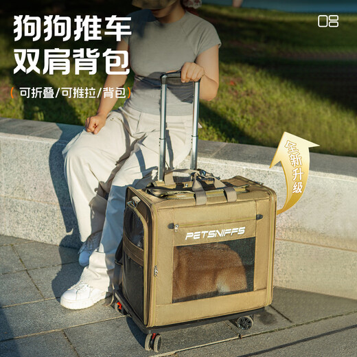 Haustier-Trolley, Maine-Coon-Katzentasche, große Kapazität, Rucksack, Katzentasche, tragbarer Haustier-Rucksack für den Außenbereich, kleiner Hund, Welpen-Tasche, grüner Trolley