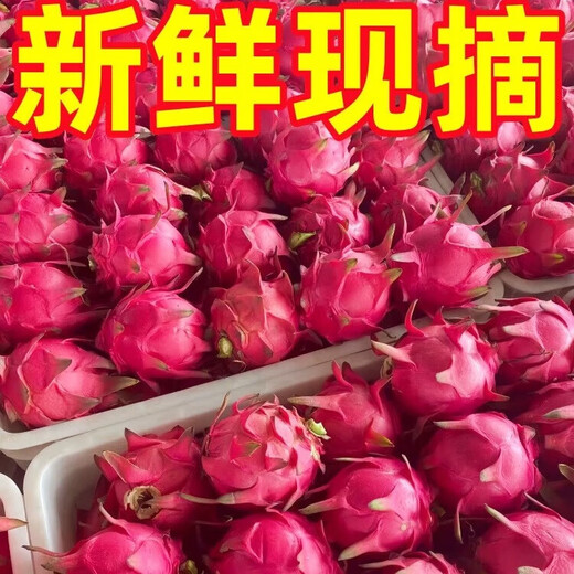 Authentic Guangxi Jindu No. 1 dragon fruit, freshly picked, straight and super sweet, 2 pieces (single piece 200g-300g)