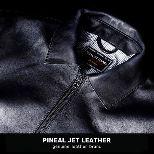 PJL2025春季新款男款商务简单翻领皮衣皮外套 黑色 M (140斤以下)
