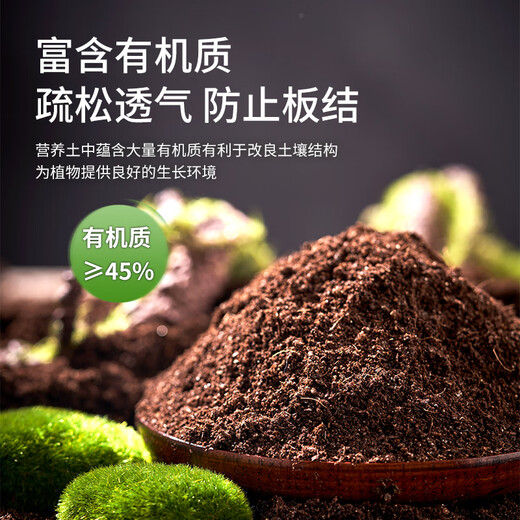 Manlife vegetable nutrient soil 50L imported planting soil flower soil vegetable soil plant organic nutrient soil potted gardening