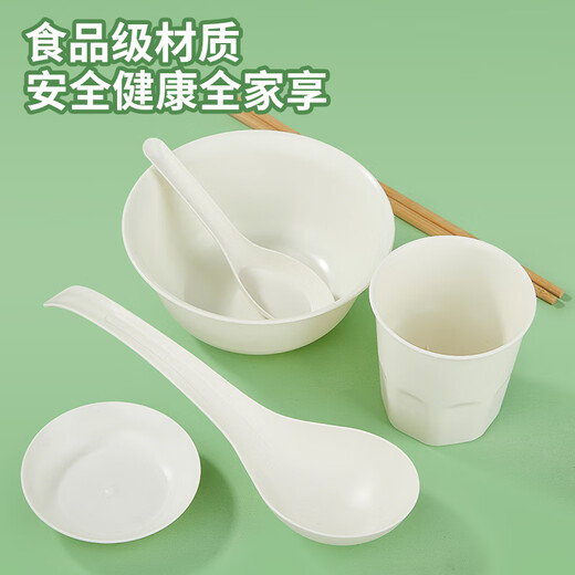 SHUANG YU disposable tableware set for 5 people (bowl + cup + large spoon + small spoon + chopsticks + plate) environmentally friendly picnic tableware