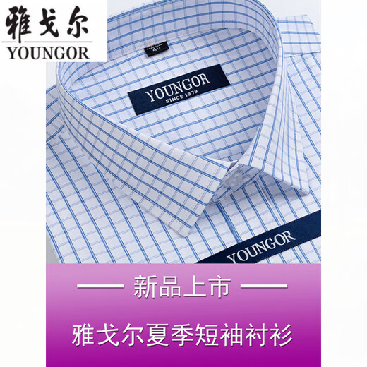 雅戈尔旗舰官方店衬衫男短袖夏季薄款中年男装寸衫职业休闲衬衣透气 短袖DX6636 45 建议【210-230斤】