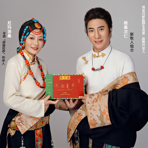 Beobachten und sammeln Sie wilden Cordyceps sinensis in Nagqu, Tibet. Frische Cordyceps-Ergänzungsmittel für ältere Menschen. Praktische Geschenkbox für ältere Menschen. Wildes frisches Gras der ersten Ernte, etwa 1,2 g/Wurzel, 100 Wurzeln.