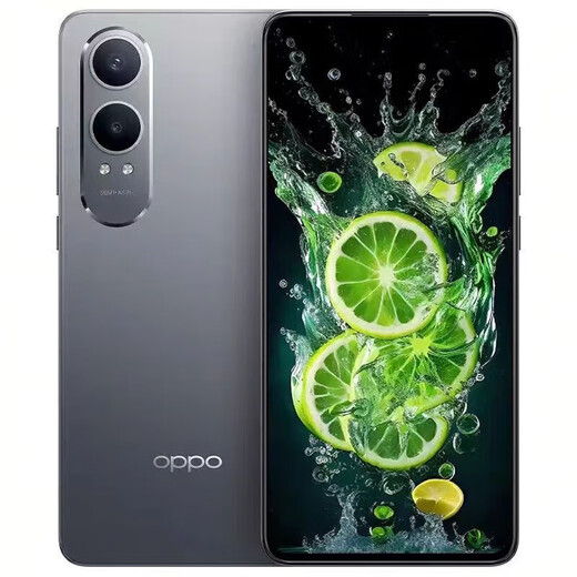 OPPOK12X 5G Téléphone mobile Dual-Sim Double Snapdragon 695 Processeur 6,67 pouces Ultra-définition Grand écran 5500mAh Batterie grande batterie 80W Fast Charge Backup des étudiants K12X [Condensation Green clair] + Accessoires de charge rapide 8 Go + 128 Go [Package un]