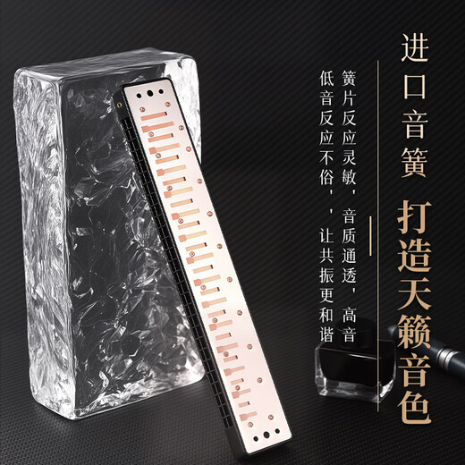 Guoguang 28-hole Guozhimeng performance-grade polyphonic harmonica in C (silver, embedded, glasses case)