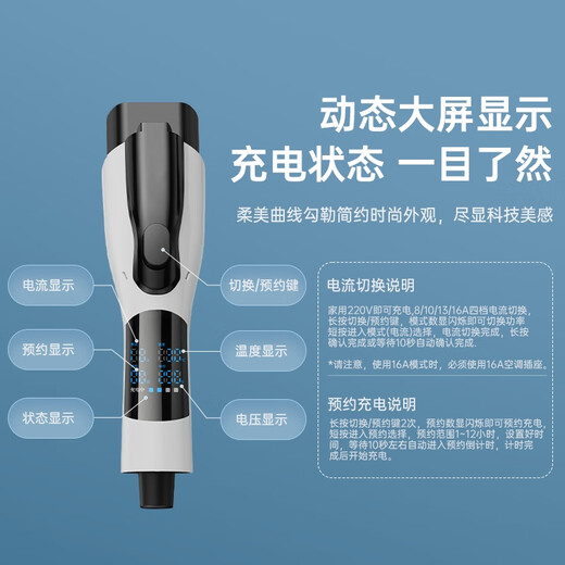 Lingli Power Charging Gun Car Charging Portable 3.5KW New Energy Electric Vehicle Charger is suitable for BYD Qianjie Aian Ideal Changan Xpeng Wuling Geely Xiaomi su7