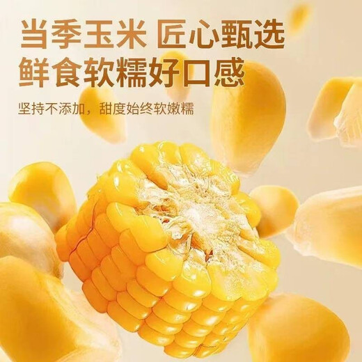 New arrivals of the season: Northeast yellow sweet glutinous corn on the cob, 10 sticks, vacuum-packed, low-fat yellow glutinous corn on the cob, sweet Northeast sticky corn, first-crop yellow corn, 10 cobs, starting from 220g/cob