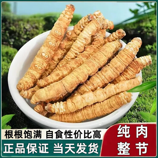 Cordyceps Sinensis Big Broken Grass Pure Festival Festival de viande abordable Authentique Big Broken Grass 50G Boîte cadeau pour un cadeau pour votre propre usage. Festival authentique de la viande fine à Nagqu, Tibet 10G