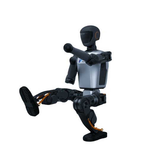 Singularité Human Intelligent Bipedal Robot Humanoid Robot Kick Football Boxing Dance Fall Prevention Robot