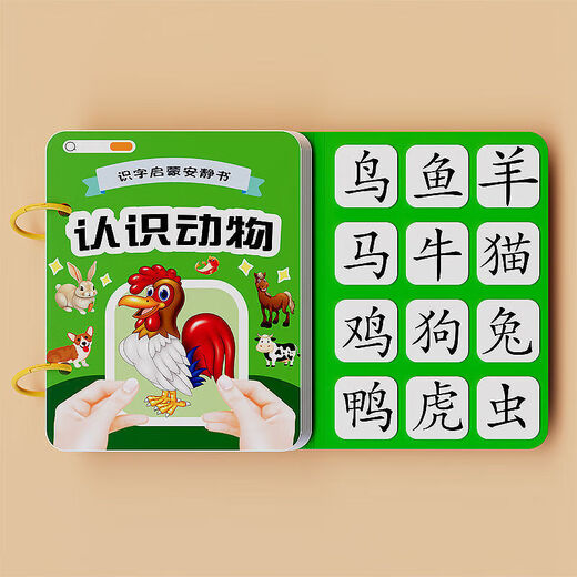 幼儿识字早教安静书宝宝粘贴书儿童魔术贴卡片玩具认字卡 【识字安静书】认识身体 无规格