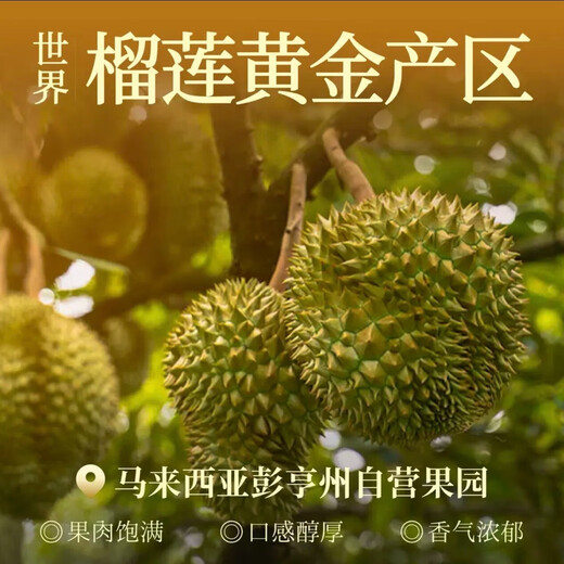 Laifaji Musang King Durian Ice Cream 70g Durian meat content 70%