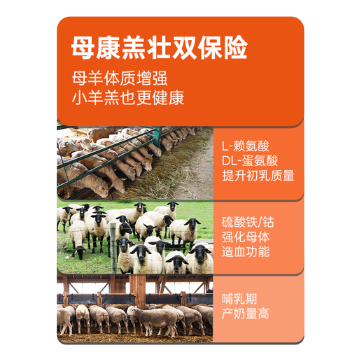 Yingmaier breeding ewe premix lambing multi-pregnancy lactation ewe feed milk multi-Yingmaier premix ewe premix 20kg (lamb Duowang)
