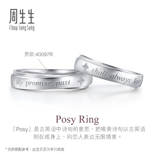 CHOW SANG SANG platinum ring V&A Museum joint couple ring female model 40096R 13 circles