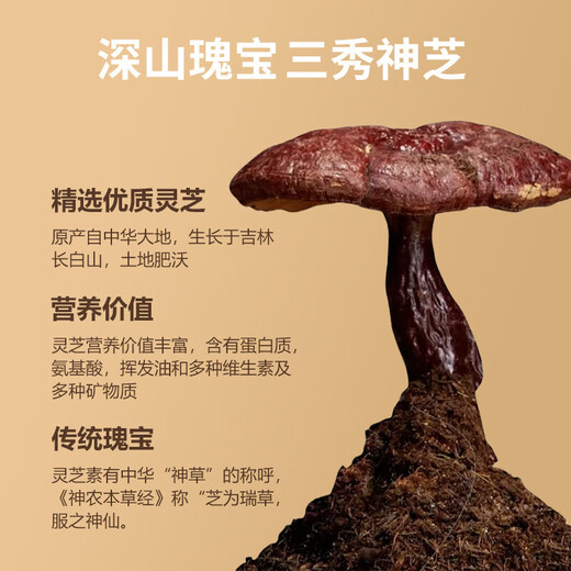 敖东灵芝原浆30袋*9盒高浓缩饮液滋补品送礼长辈礼物非孢子粉孢子油