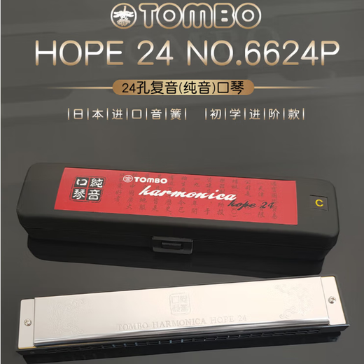 通宝TOMBO日本通宝6624P纯音口琴24孔复音高档口琴成人初学儿童入门 24孔 E  全套赠品
