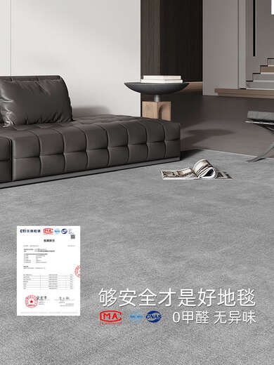 Sanqihu carpet living room 2025 new light luxury sofa blanket no washing erasable thickened color bedside blanket gray floor mat Hyundai-16780 140cm*200cm New upgraded waterproof wire